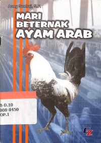 Image of Mari beternak ayam Arab
